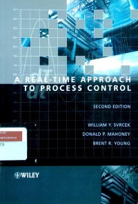 A real-time approach to process control