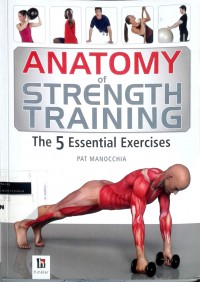 Anatomy of strength training: the 5 essential exercises