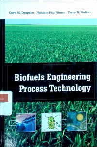 Biofuels engineering process technology