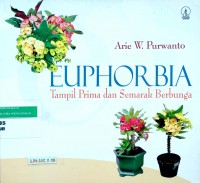 Euphorbia: tampil prima dan semarak berbunga