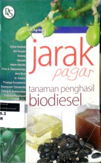 Jarak pagar tanaman penghasil biodiesel