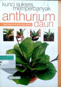 Kunci sukses memperbanyak anthurium daun