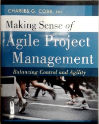 Making sense of agile project management: balancing control and agility