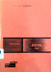 Microsoft Office excel: a professional approach