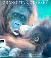Orangutan odyssey
