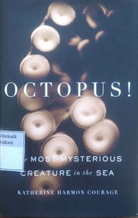 Octopus: the most mysterious creature in the sea