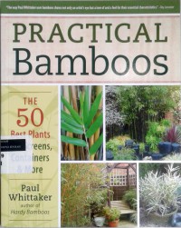 Practical bamboos: the 50 best plants for screens, containers and more